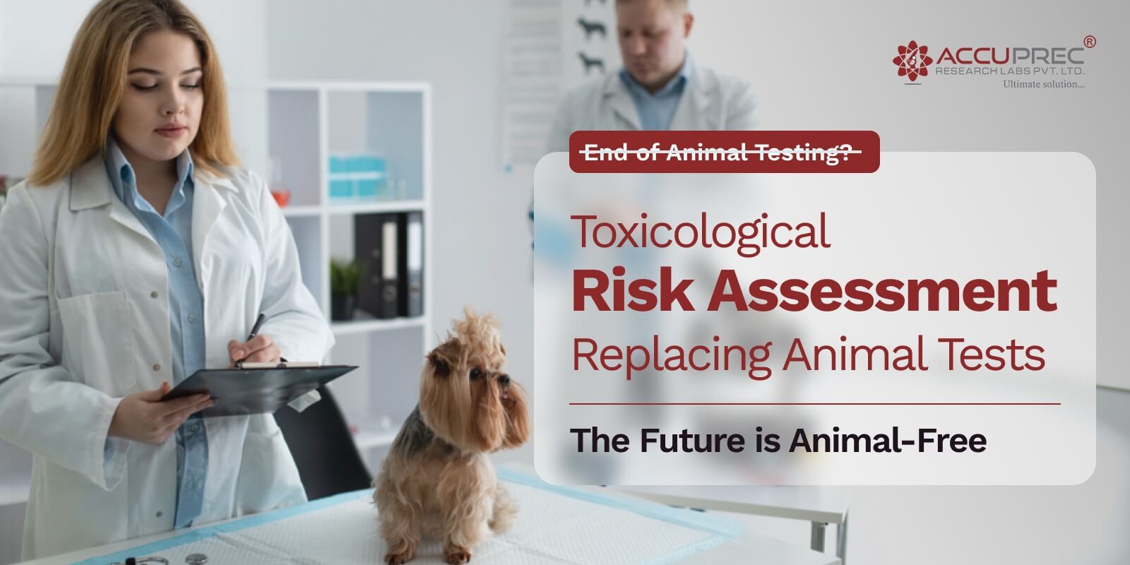 Biological Evaluation Plan (BEP) Explained| ISO 10993-1:2025